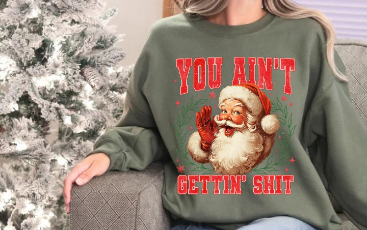 You Ain't Getting Shit