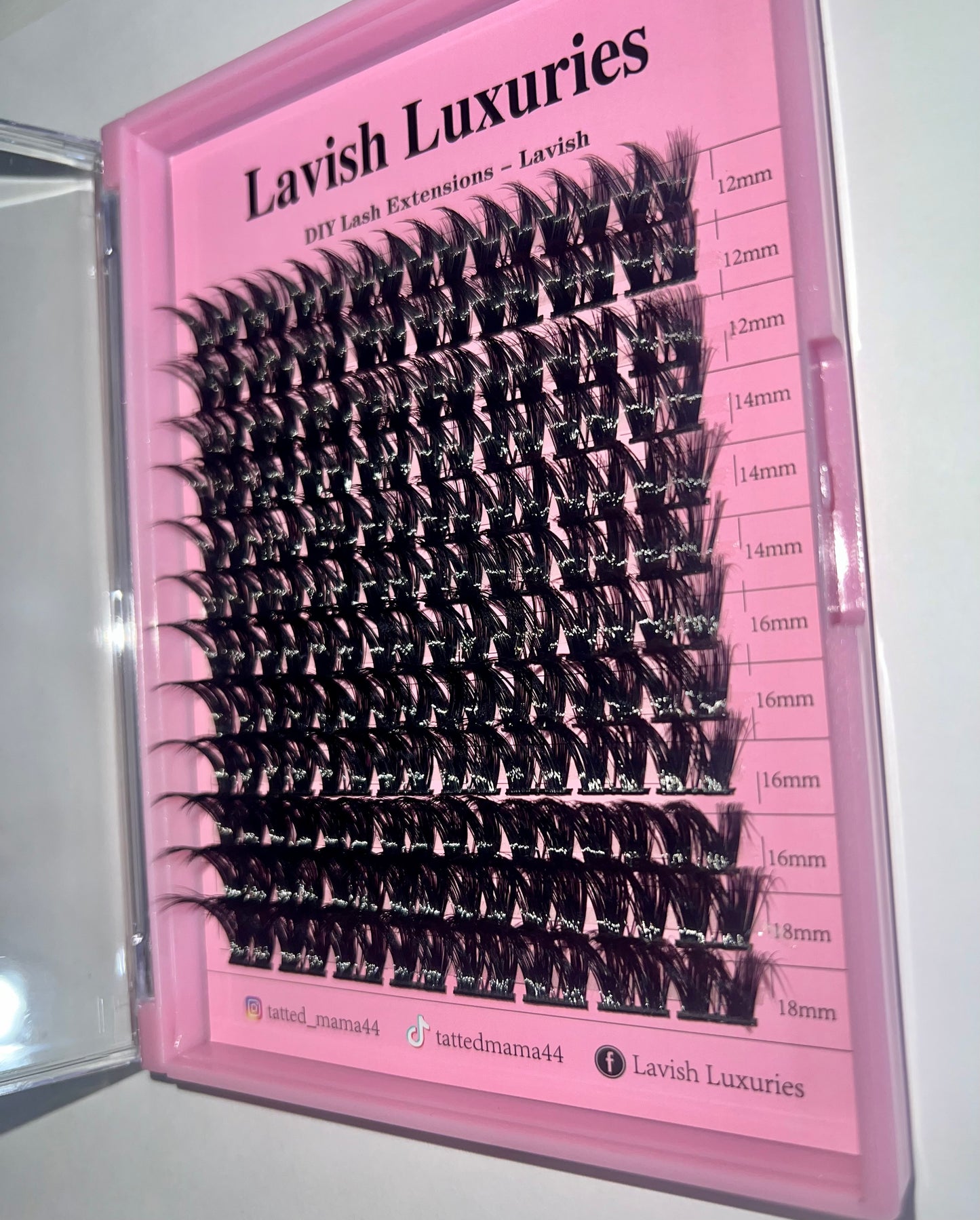 Lavish Lash Tray